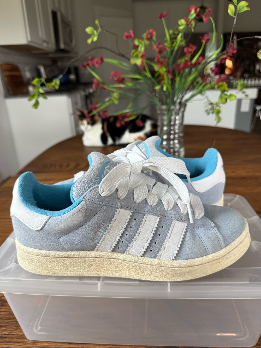 adidas campus 00’s Light Blue and White Suede Sneakers